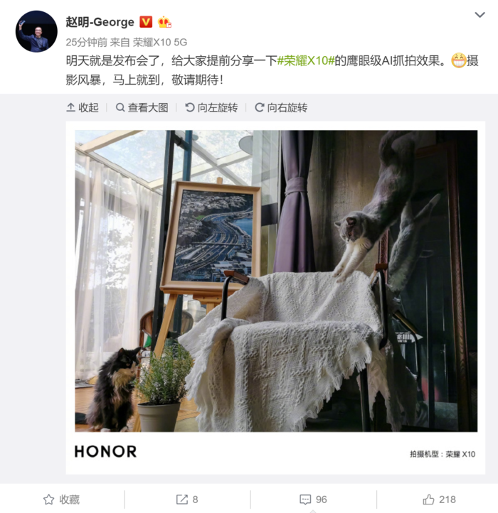 榮耀X10