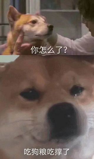 微信能發(fā)520元紅包