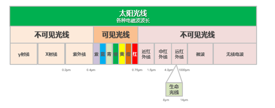 電飯煲只有日本的好？蘇泊爾電飯煲更懂中國人的胃