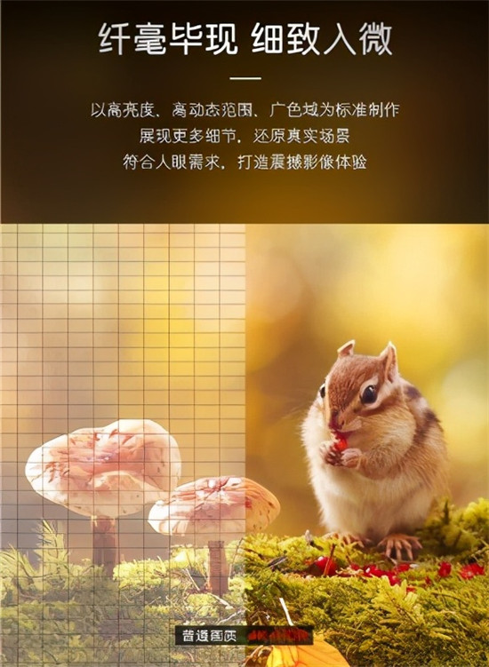 看電影何必去影院？卡薩帝發(fā)布M150電視，把智慧影院帶回家