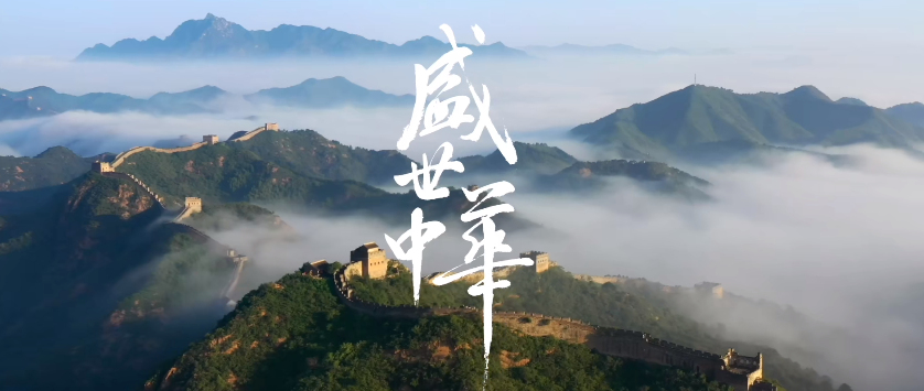 智云穩(wěn)定器 - 短視頻已成文化融合主流，云臺(tái)器材如何突圍？