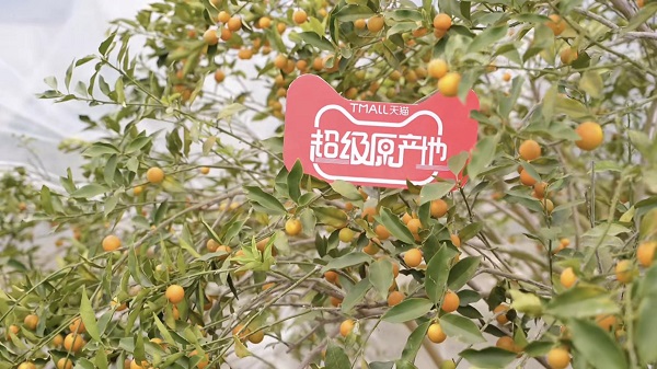 源頭尋寶直播21款寶藏農(nóng)產(chǎn)品，天貓超級原產(chǎn)地助力原產(chǎn)地農(nóng)貨上行