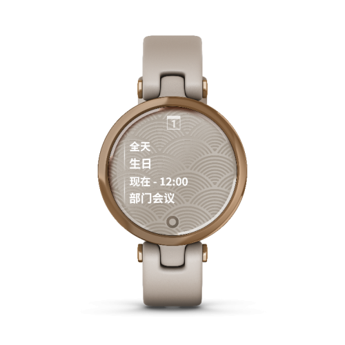 Garmin佳明布局女性市場，攜新品Lily優(yōu)雅腕表上市