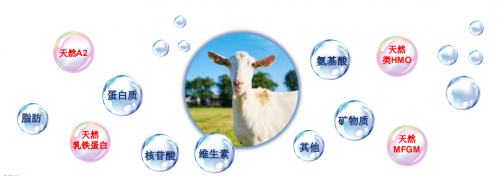 嬰兒奶粉排行榜十強(qiáng)，佳貝艾特再入圍盡顯大牌風(fēng)范