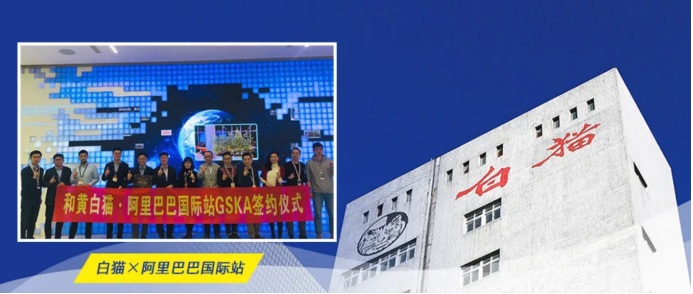 “進(jìn)擊的白貓洗潔精”，借阿里巴巴國際站之力，成就中國國貨品牌驕傲！