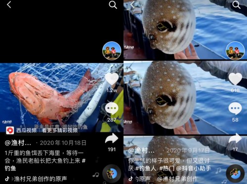 廣東“漁村兄弟”抖音追夢，靠拍海釣短視頻買房買車