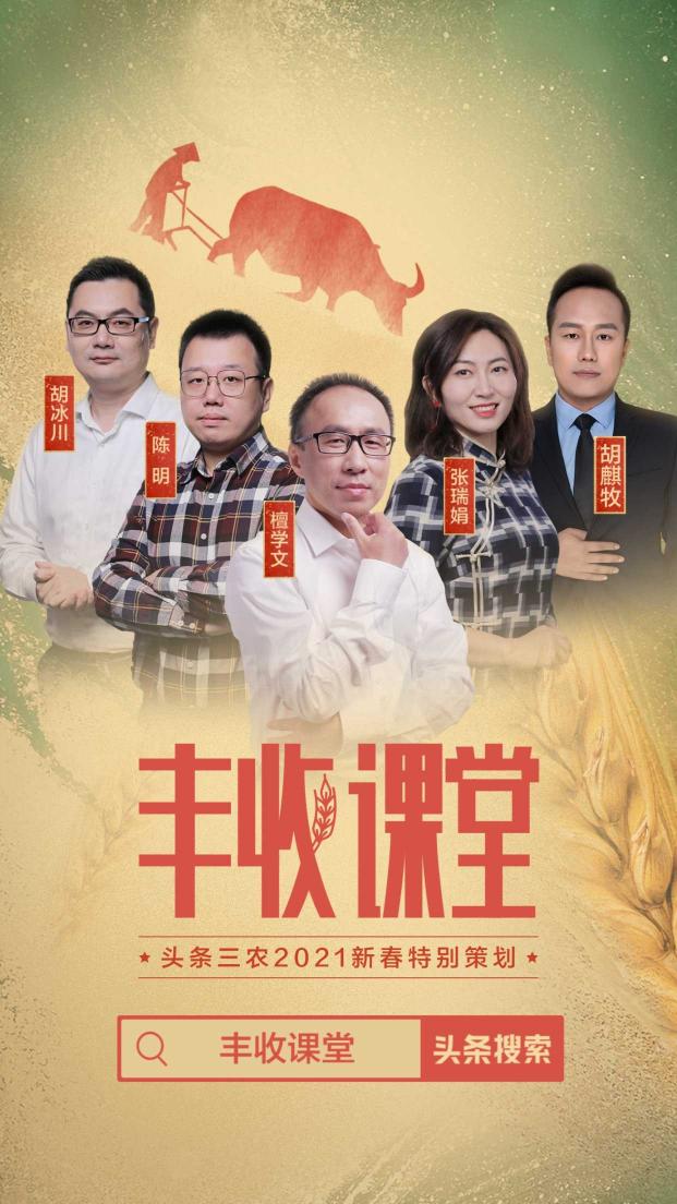 聚焦2020年度三農(nóng)關(guān)鍵詞，頭條上線新春特別策劃《豐收課堂》