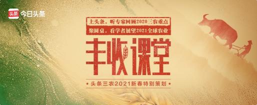 聚焦2020年度三農(nóng)關(guān)鍵詞，頭條上線新春特別策劃《豐收課堂》