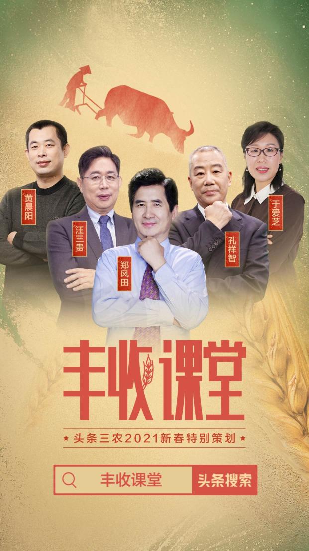 聚焦2020年度三農(nóng)關(guān)鍵詞，頭條上線新春特別策劃《豐收課堂》