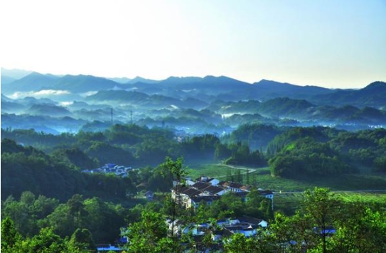 就地過年：這樣過出新鮮感！