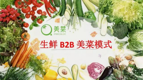 美菜網聚焦農業(yè)發(fā)展 加速構建農村電商產業(yè)生態(tài)圈