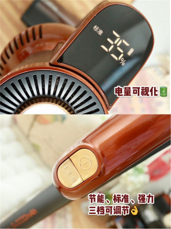 輕便吸力大，除螨還殺菌，萊克立式吸塵器讓妹紙都愛它