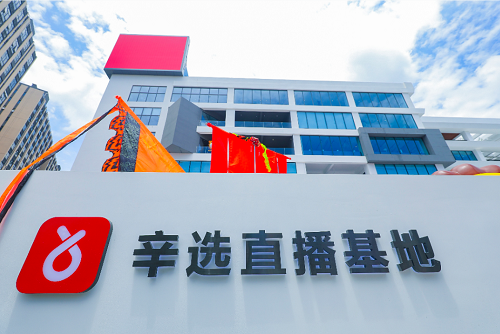 辛巴透露辛選2021年規(guī)劃和調(diào)整方向：規(guī)范化、專業(yè)化、去辛巴化