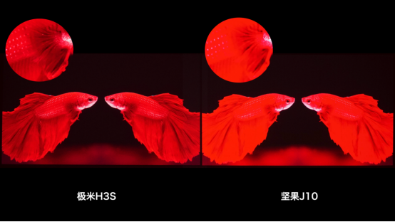 極米H3S和堅(jiān)果J10誰(shuí)更值得入手？看完全方位對(duì)比之后你就明白了