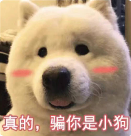 西人馬2021春季校園招聘開啟，優(yōu)秀的你快看向這里