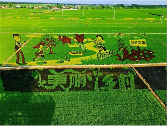 加速新型農(nóng)業(yè)發(fā)展，華為云助力沈陽稻夢空間建設(shè)數(shù)字化產(chǎn)業(yè)園