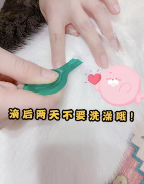 貓咪一定要做好體外驅(qū)蟲! 體外驅(qū)蟲首選小寵虱敵！