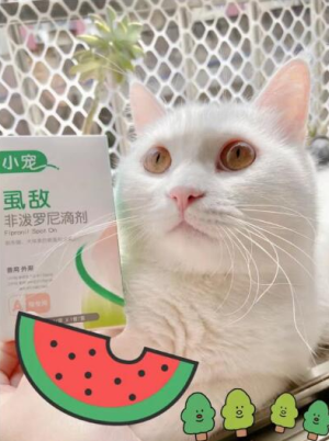 貓咪一定要做好體外驅(qū)蟲! 體外驅(qū)蟲首選小寵虱敵！