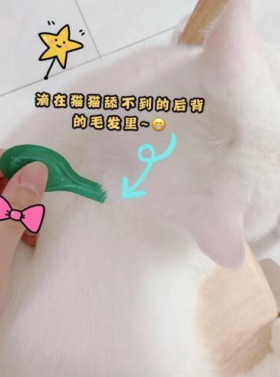 貓咪一定要做好體外驅(qū)蟲! 體外驅(qū)蟲首選小寵虱敵！