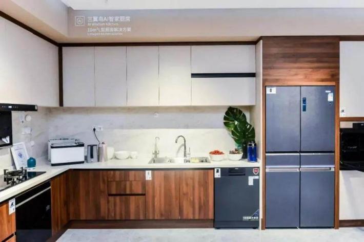 2021冰箱市場：高端、場景成行業(yè)兩大“新賽點”