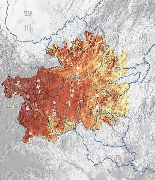 刺梨果變致富果 廣藥集團李楚源：產業(yè)振興是鄉(xiāng)村振興的關鍵