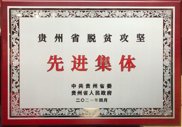 刺梨果變致富果 廣藥集團李楚源：產業(yè)振興是鄉(xiāng)村振興的關鍵