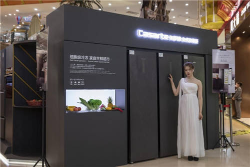囤海鮮空間不夠還變味？卡薩帝立式凍藏柜上市，囤貨更自由