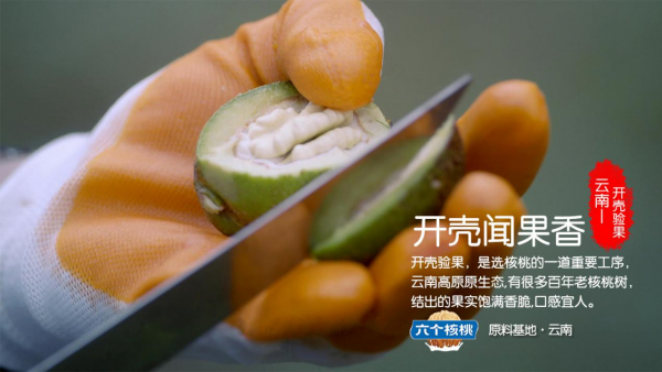 養(yǎng)元飲品六個(gè)核桃2430這產(chǎn)品怎么樣？營養(yǎng)專家來安利了