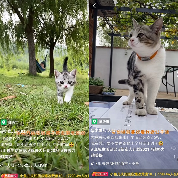 抖音“全能老公”爆改10年廢棄農(nóng)村小院獲贊超300萬，網(wǎng)友：想要同款老公