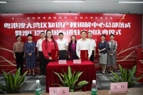 澳門(mén)凱旋國(guó)際集團(tuán)總裁王愛(ài)民：共創(chuàng)粵港澳大灣區(qū)知識(shí)產(chǎn)權(quán)新未來(lái)