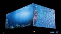 利亞德助力文化與科技交融，裸眼3D顯示屏打造絕美夜景