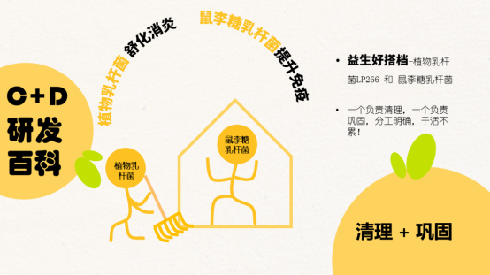“益生元+益生菌”雙配方，C+D Nosh一口餅刷爆達(dá)人下午茶