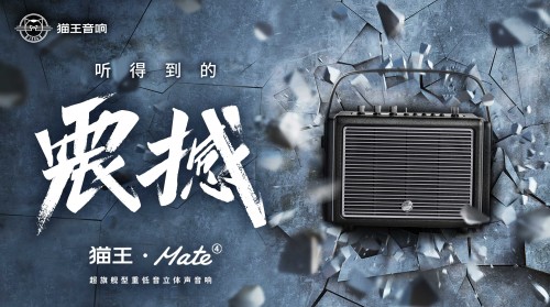 國潮品牌貓王音響攜手胡海泉，推出震撼之聲貓王·Mate系列