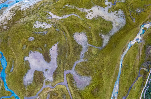面對(duì)世界性草原沙化防治難題，極飛科技如何給出答案