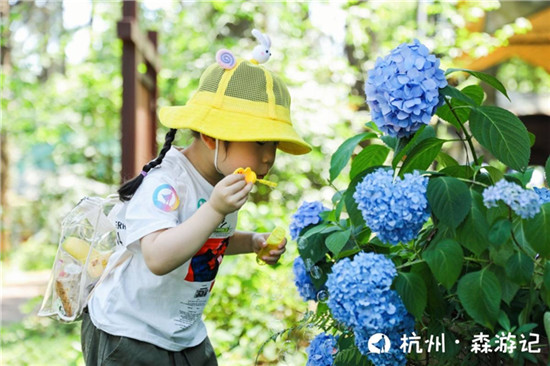 讓教育更有意義！大力智能把課堂搬進(jìn)了大自然