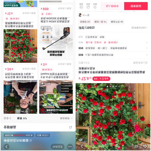 靠“沾花惹草”養(yǎng)家糊口，花卉達人坤哥在抖音電商用知識圈粉600萬