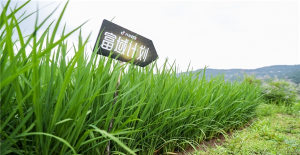 抖音電商“富域計(jì)劃”攜三農(nóng)達(dá)人助農(nóng)培訓(xùn)，助力鄉(xiāng)村振興