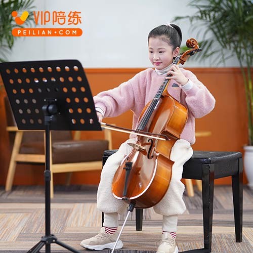 五周年踏浪而來，VIP陪練穩(wěn)步引領(lǐng)在線素質(zhì)教育發(fā)展