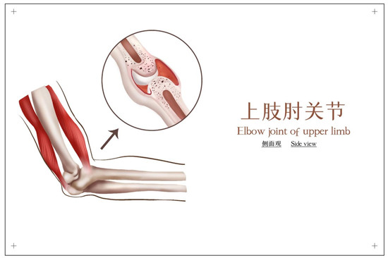 如何吃氨糖軟骨素鈣片，一起來(lái)看看