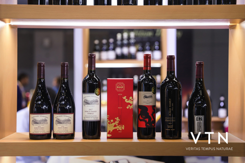 年輕人眼中的“好酒”是什么標(biāo)準(zhǔn)？VTN美酒憑什么火出圈？