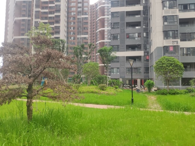 新星宇控股：人性化家居細節(jié)，盛放生活美好