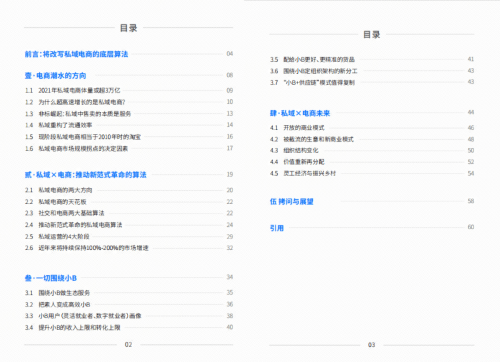 做興趣電商的抖音，做電商AI SaaS的鯨靈集團蜂享家，他們的私域白皮書有何不同？