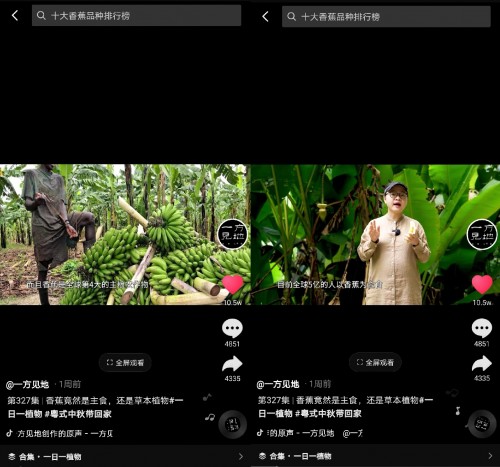 香蕉為什么向上生長？她在抖音為440萬人科普植物的奧秘