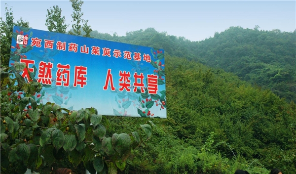 孫鋒：深耕“藥材好，藥才好”價值理念，釋放“中華醫(yī)圣”經(jīng)典活力