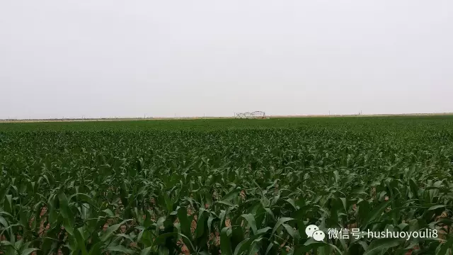 茫茫沙漠中，身價百億的他如釋重負(fù)！他特別提及，蒙?？偛帽R敏放是貴人！