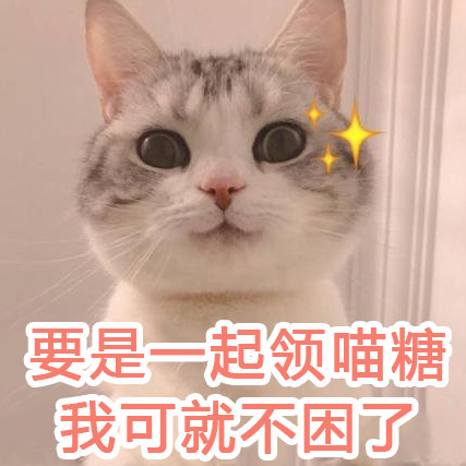 教你玩轉淘寶雙十一紅包怎么買最劃算 天貓雙十一喵糖總動員怎么玩
