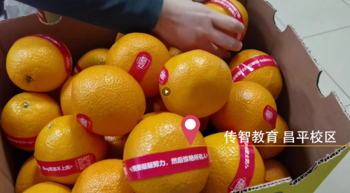 傳智教育1024程序員節(jié)，全國(guó)各校區(qū)“橙心誠(chéng)意”邀你一起嗨