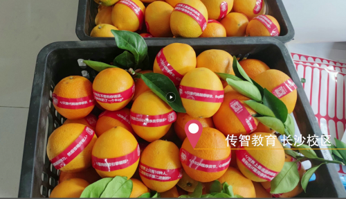 傳智教育1024程序員節(jié)，全國(guó)各校區(qū)“橙心誠(chéng)意”邀你一起嗨