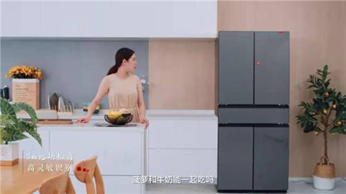 為何海爾智家Leader冰箱再迎新增長？顏值、實力必不可少！