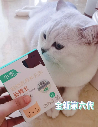 全新第六代小寵腸胃寶來(lái)了 為主子雙11囤起來(lái)！